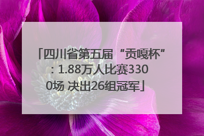 四川省第五届“贡嘎杯”：1.88万人比赛3300场 决出26组冠军