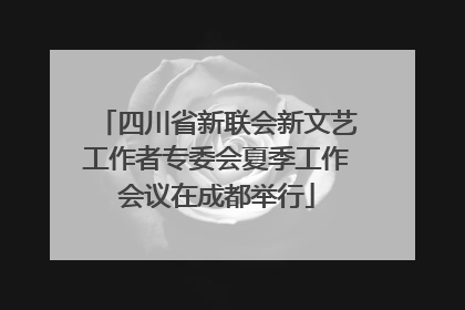 四川省新联会新文艺工作者专委会夏季工作会议在成都举行