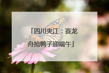 四川夹江：赛龙舟抢鸭子迎端午