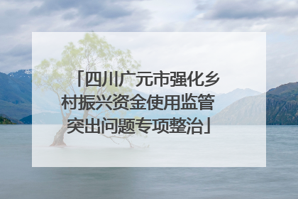 四川广元市强化乡村振兴资金使用监管突出问题专项整治