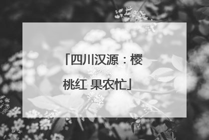 四川汉源：樱桃红 果农忙