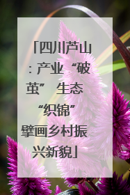 四川芦山：产业“破茧” 生态“织锦” 擘画乡村振兴新貌