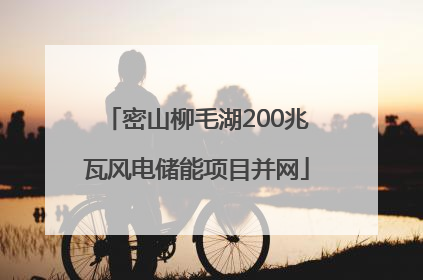 密山柳毛湖200兆瓦风电储能项目并网