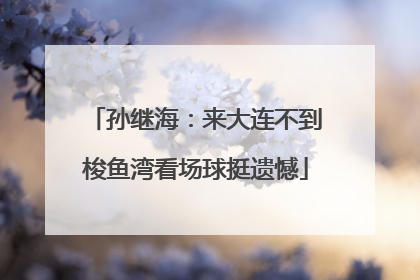 孙继海：来大连不到梭鱼湾看场球挺遗憾