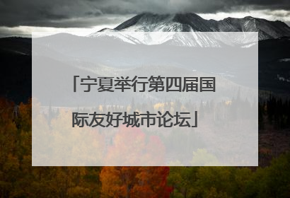 宁夏举行第四届国际友好城市论坛