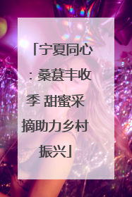 宁夏同心：桑葚丰收季 甜蜜采摘助力乡村振兴