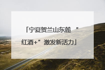 宁夏贺兰山东麓 “红酒+”激发新活力