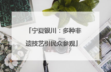 宁夏银川：多种非遗技艺引民众参观