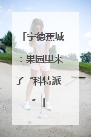 宁德蕉城：果园里来了“科特派”