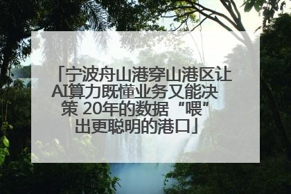 宁波舟山港穿山港区让AI算力既懂业务又能决策 20年的数据“喂”出更聪明的港口