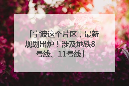 宁波这个片区，最新规划出炉！涉及地铁8号线、11号线