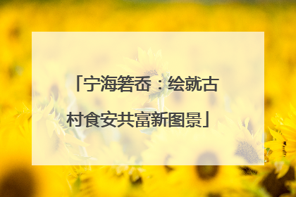 宁海箬岙：绘就古村食安共富新图景