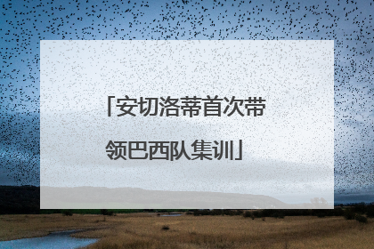 安切洛蒂首次带领巴西队集训
