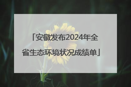 安徽发布2024年全省生态环境状况成绩单