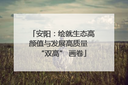 安阳：绘就生态高颜值与发展高质量 “双高” 画卷