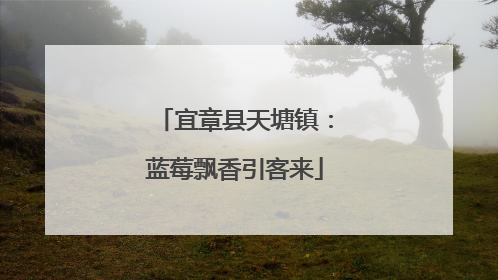 宜章县天塘镇：蓝莓飘香引客来
