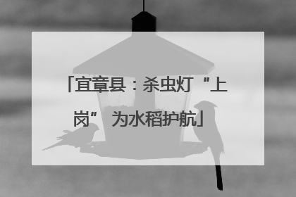 宜章县：杀虫灯“上岗” 为水稻护航