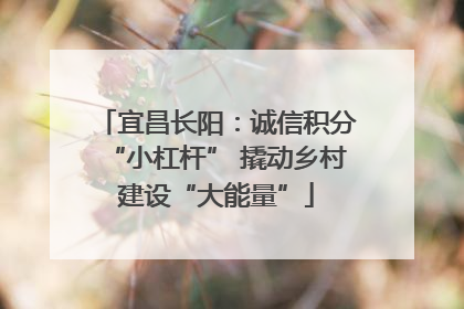 宜昌长阳：诚信积分“小杠杆” 撬动乡村建设“大能量”