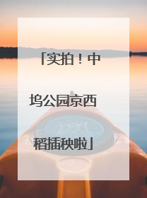 实拍！中坞公园京西稻插秧啦