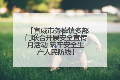 宣威市务德镇多部门联合开展安全宣传月活动 筑牢安全生产人民防线