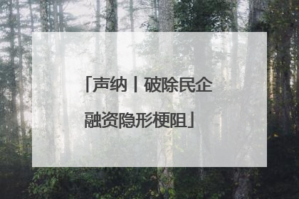 声纳丨破除民企融资隐形梗阻