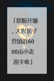 夏粮开镰，大兴长子营镇近6000亩小麦迎丰收