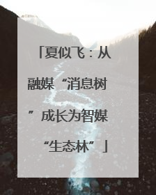 夏似飞：从融媒“消息树”成长为智媒“生态林”