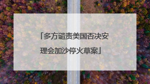 多方谴责美国否决安理会加沙停火草案
