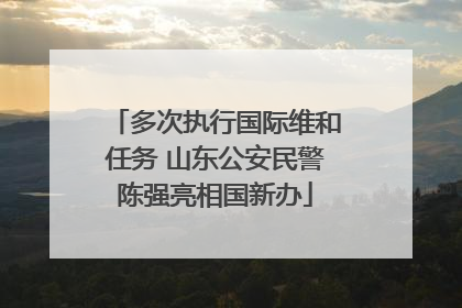 多次执行国际维和任务 山东公安民警陈强亮相国新办