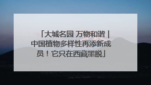 大城名园 万物和谐｜中国植物多样性再添新成员！它只在西藏墨脱