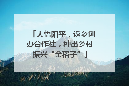大悟阳平：返乡创办合作社，种出乡村振兴“金稻子”