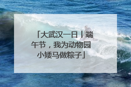 大武汉一日丨端午节，我为动物园小矮马做粽子