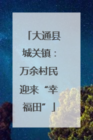 大通县城关镇：万余村民迎来“幸福田”