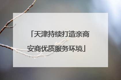 天津持续打造亲商安商优质服务环境