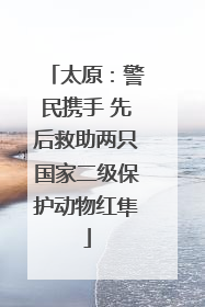 太原：警民携手 先后救助两只国家二级保护动物红隼