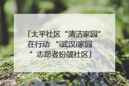 太平社区“清洁家园”在行动 “i武汉i家园”志愿者扮靓社区
