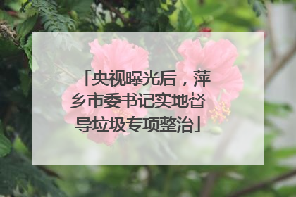 央视曝光后，萍乡市委书记实地督导垃圾专项整治