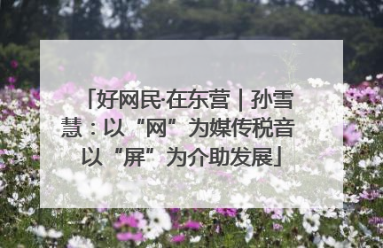 好网民·在东营｜孙雪慧：以“网”为媒传税音 以“屏”为介助发展