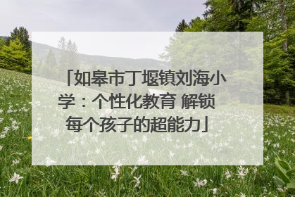 如皋市丁堰镇刘海小学：个性化教育 解锁每个孩子的超能力