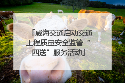 威海交通启动交通工程质量安全监管“四送”服务活动