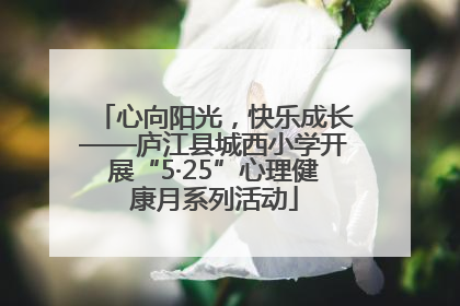心向阳光，快乐成长——庐江县城西小学开展“5·25”心理健康月系列活动