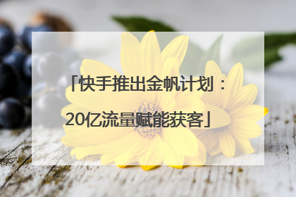 快手推出金帆计划：20亿流量赋能获客