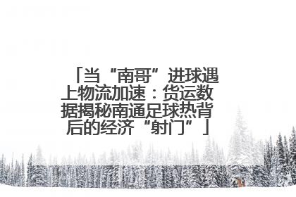 当“南哥”进球遇上物流加速：货运数据揭秘南通足球热背后的经济“射门”