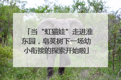 当“虹猫娃”走进淮东园，皂荚树下一场幼小衔接的探索开始啦