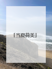 当夏荷美