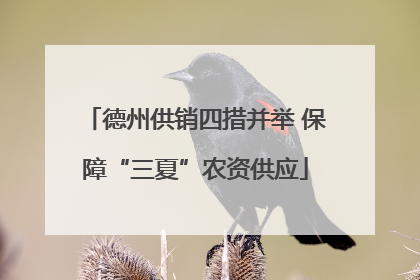德州供销四措并举 保障“三夏”农资供应