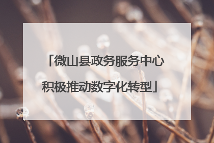 微山县政务服务中心积极推动数字化转型