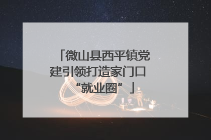 微山县西平镇党建引领打造家门口“就业圈”