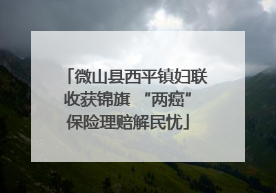 微山县西平镇妇联收获锦旗 “两癌”保险理赔解民忧