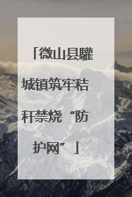 微山县驩城镇筑牢秸秆禁烧“防护网”
